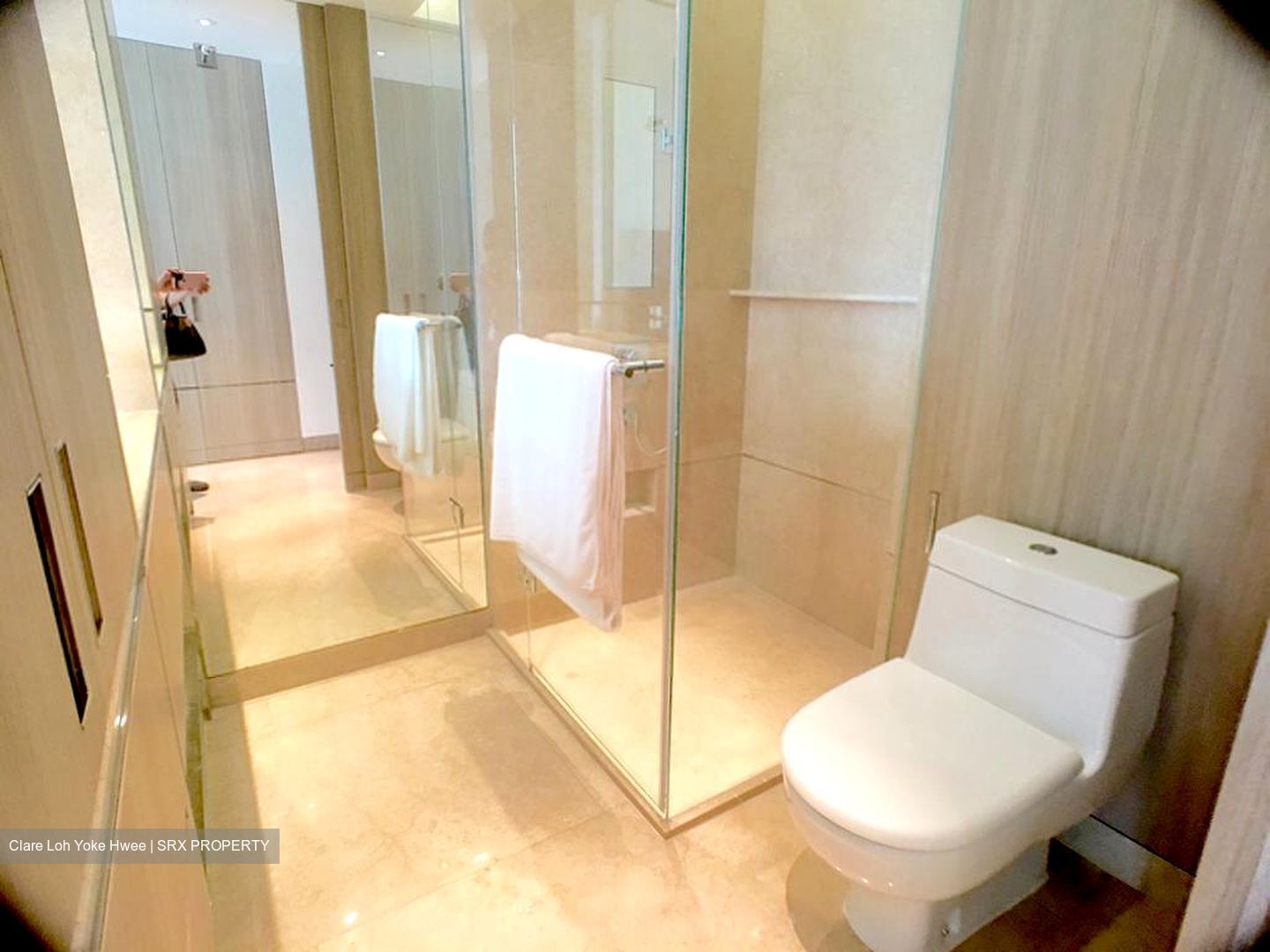 Ardmore Residence (D10), Condominium #308766951